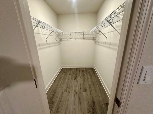 1253 Dosseywood Ln, Lakeland, FL 33811 - spacious closet with dark wood-style floors