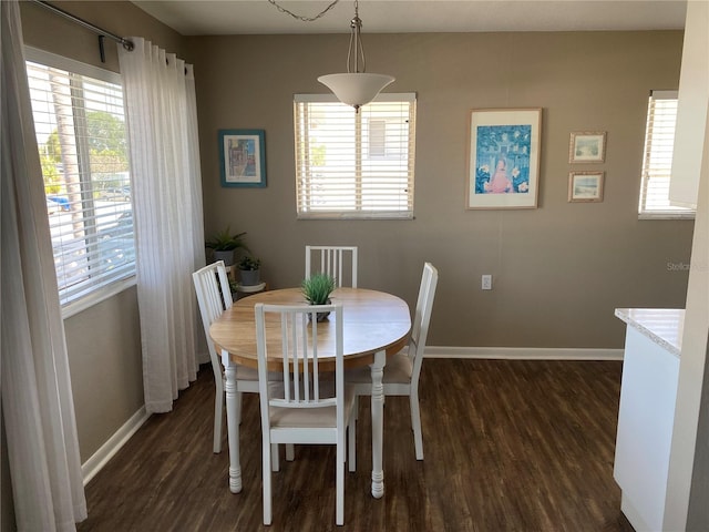 8455 112th St Unit 212, Seminole, FL 33772 - dining space featuring baseboards, dark wood finished floors, and plenty of natural light