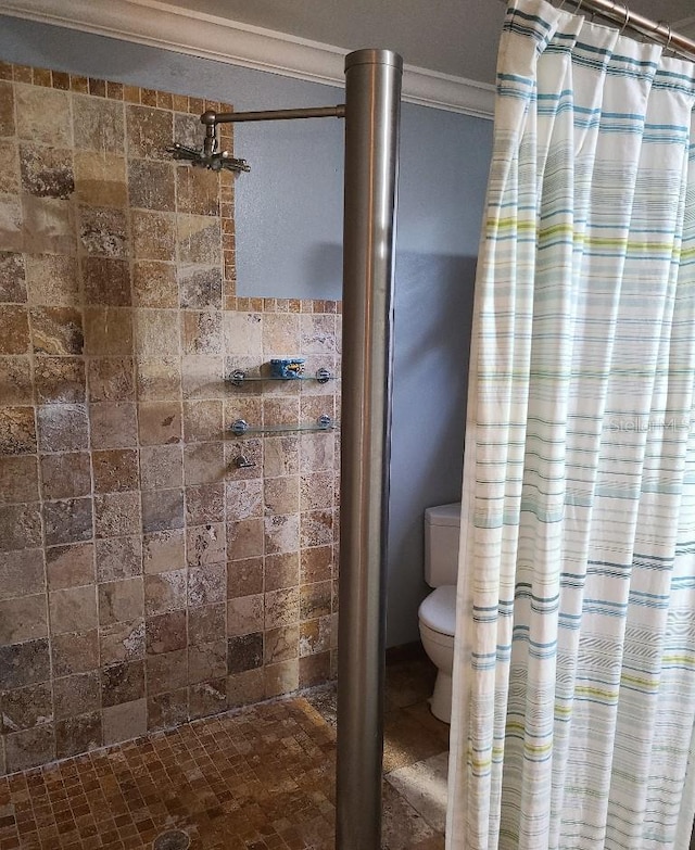 314 Bloomingfield Dr, Brandon, FL 33511 - bathroom featuring crown molding, a tile shower, and toilet