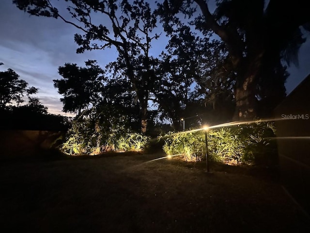 314 Bloomingfield Dr, Brandon, FL 33511 - view of yard
