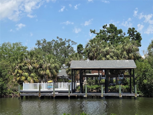 5002 S Shore Crest Cir, Tampa, FL 33609 - photo 40