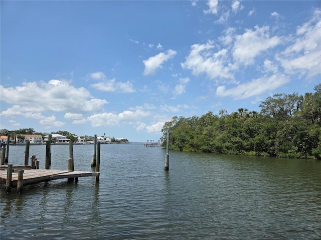 5002 S Shore Crest Cir, Tampa, FL 33609 - photo 42