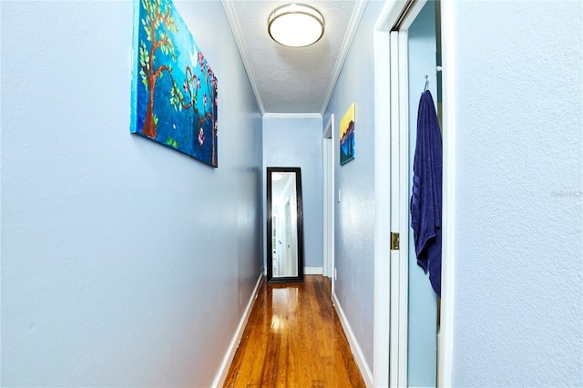 9802 N Oregon Ave, Tampa, FL 33612 - corridor with wood finished floors, ornamental molding, baseboards, and a textured ceiling