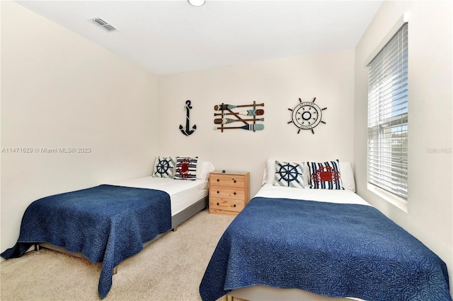 5247 Wildwood Way, Davenport, FL 33837 - view of carpeted bedroom