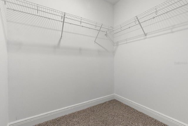 5270 Neil Dr, Saint Petersburg, FL 33714 - spacious closet featuring dark carpet