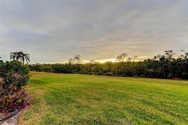 9484 Tara Cay Ct Unit 8, Seminole, FL 33776 - view of green lawn