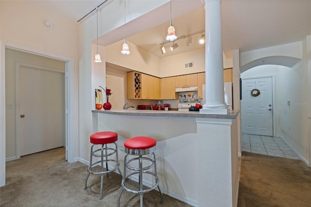 200 4th Ave S Unit 220, Saint Petersburg, FL 33701 - kitchen with ornate columns, carpet flooring, under cabinet range hood, rail lighting, and a kitchen breakfast bar