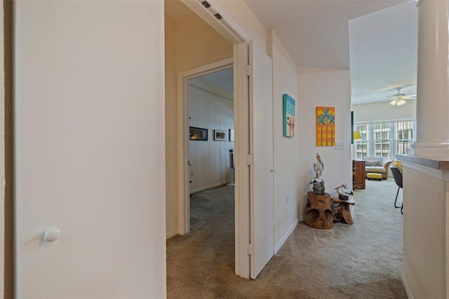 200 4th Ave S Unit 220, Saint Petersburg, FL 33701 - hall with carpet flooring and baseboards