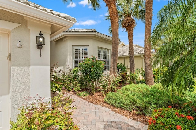 5009 Sandy Brook Cir, Wimauma, FL 33598 - entrance to property featuring stucco siding and a tiled roof