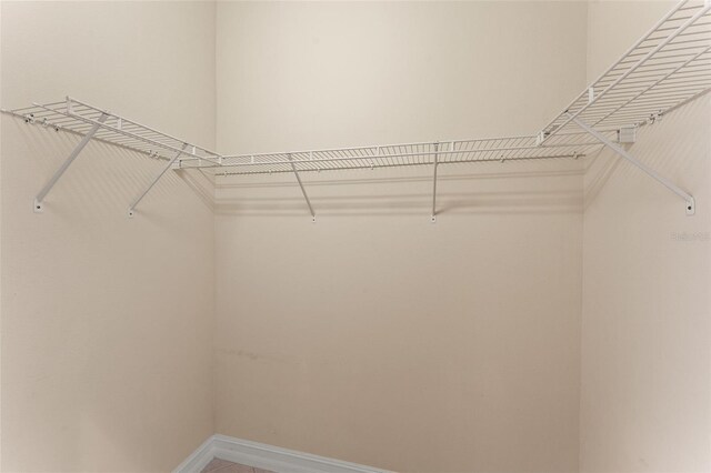 5009 Sandy Brook Cir, Wimauma, FL 33598 - view of walk in closet