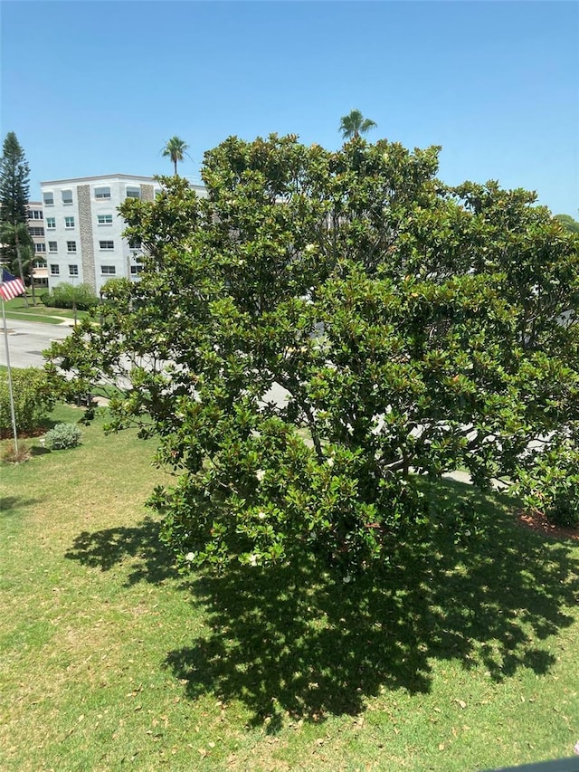 view of green lawn