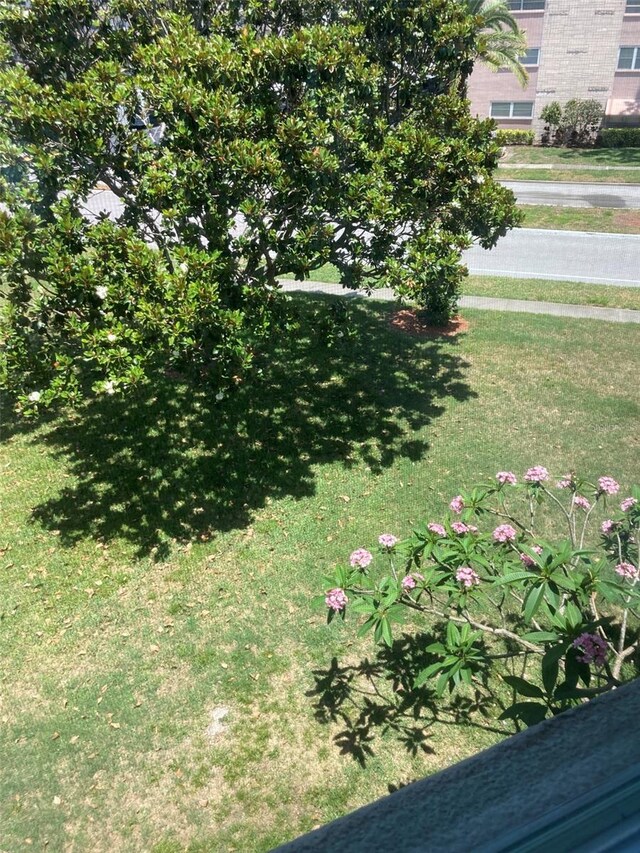 view of grassy yard