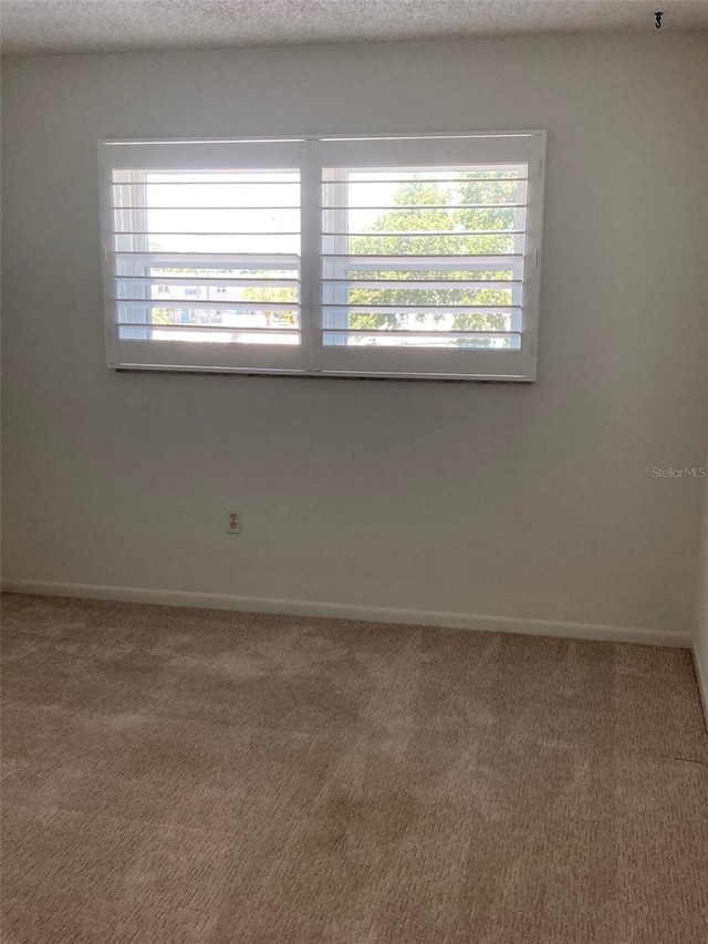empty room with plenty of natural light, carpet floors, and baseboards