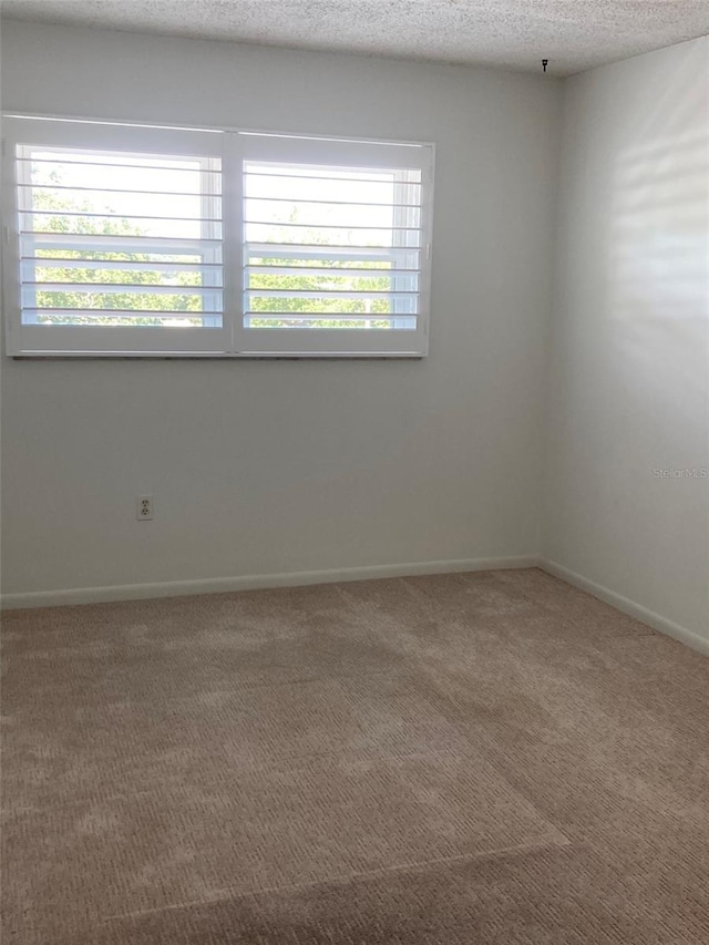 carpeted empty room featuring plenty of natural light, baseboards, and a textured ceiling