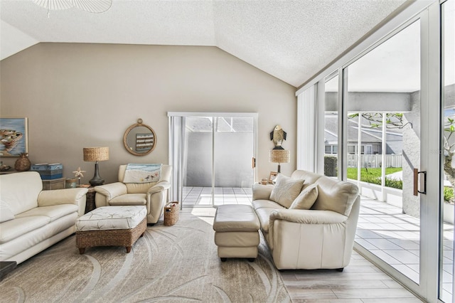 3520 51st Ave W, Bradenton, FL 34210 - living room featuring lofted ceiling and a textured ceiling