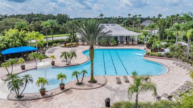 community pool with a patio and view of scattered trees