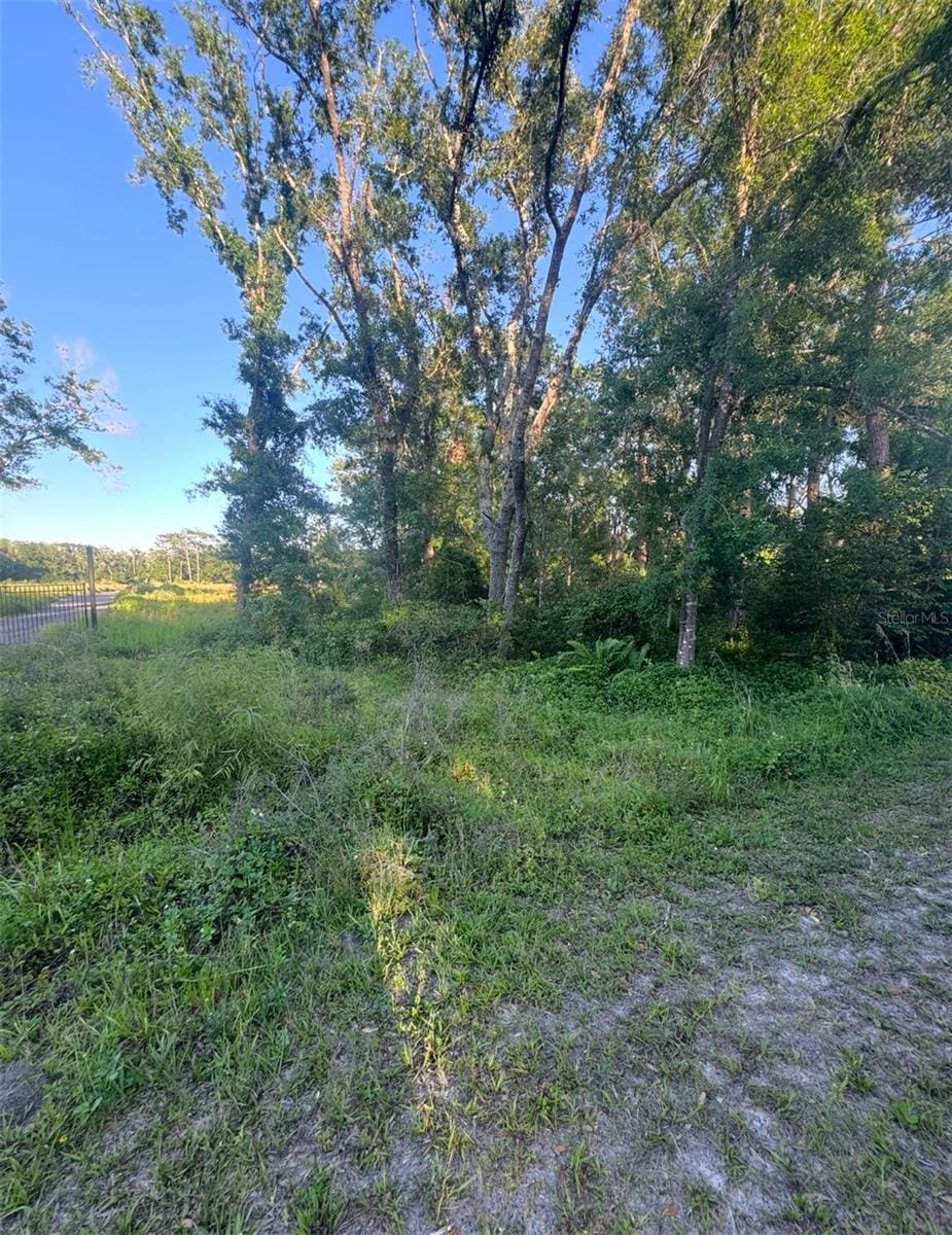 14805 Berkford Ave, Tampa, FL 33625 - photo 1