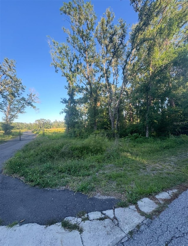 14805 Berkford Ave, Tampa, FL 33625 - photo 2
