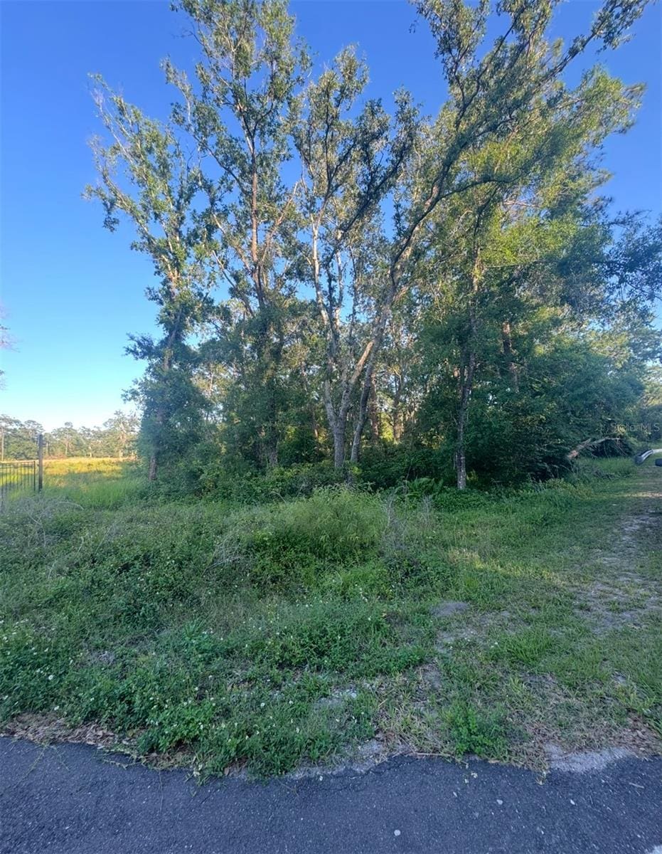 14805 Berkford Ave, Tampa, FL 33625 - photo 3