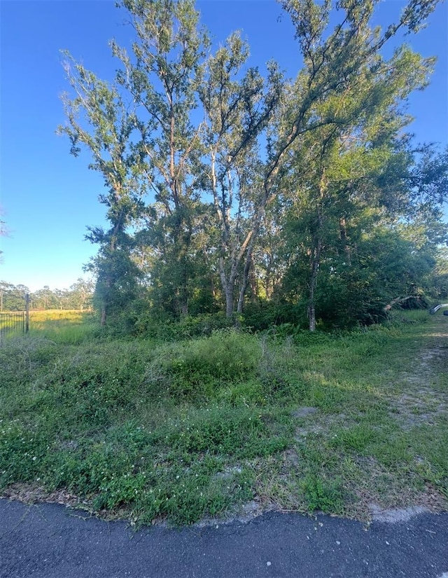 14805 Berkford Ave, Tampa, FL 33625 - photo 3