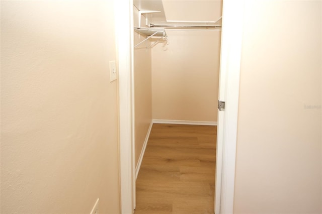 7904 Judith Cres, Port Richey, FL 34668 - walk in closet with wood finished floors