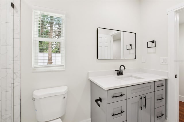 226 Willowick Ave, Temple Terrace, FL 33617 - bathroom with vanity, plenty of natural light, toilet, and tiled shower