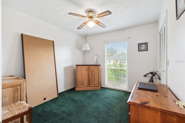 2013 Capri Rd, Valrico, FL 33594 - office featuring ceiling fan, dark carpet, baseboards, and a textured ceiling