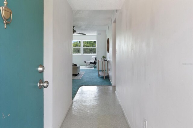 801 83rd Ave N Unit 209, Saint Petersburg, FL 33702 - hall featuring baseboards and a textured ceiling