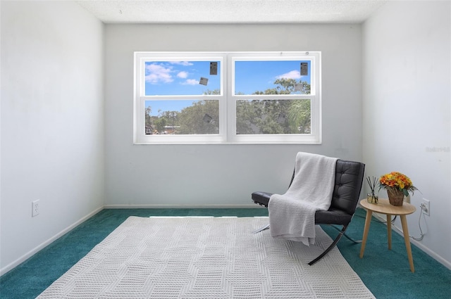 801 83rd Ave N Unit 209, Saint Petersburg, FL 33702 - living area with healthy amount of natural light, carpet floors, and baseboards