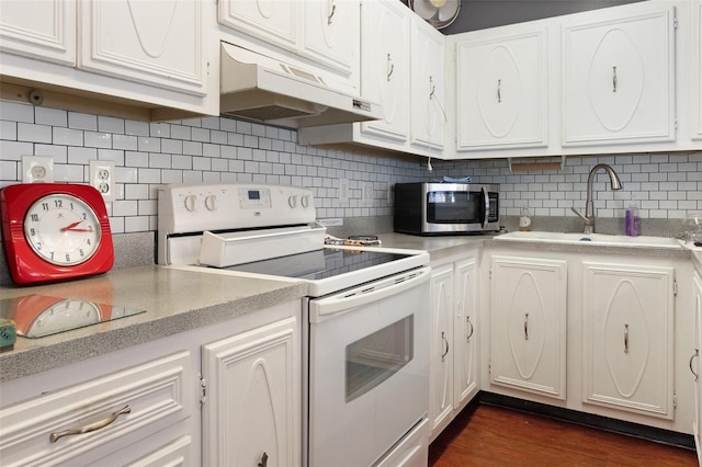 801 83rd Ave N Unit 209, Saint Petersburg, FL 33702 - kitchen with under cabinet range hood, white electric range oven, stainless steel microwave, a sink, and light countertops