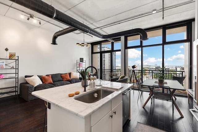 175 S 2nd St S Ph-16, Saint Petersburg, FL 33701 - kitchen featuring a sink, dark wood-type flooring, expansive windows, rail lighting, and stainless steel dishwasher