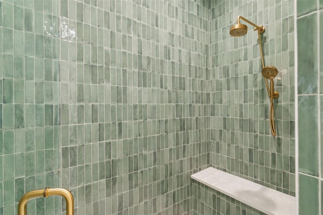 2902 S Beach Dr, Tampa, FL 33629 - full bathroom with tiled shower