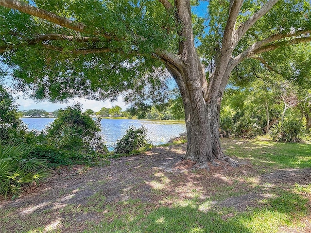 8576 Sandy Beach St, Tampa, FL 33634 - water view
