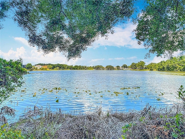 8576 Sandy Beach St, Tampa, FL 33634 - water view