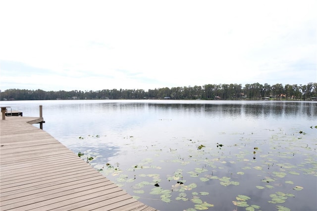 6160 Fitzgerald Rd, Odessa, FL 33556 - dock featuring a water view