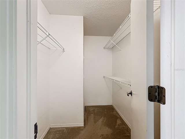 1556 Lynda Ln, Dunedin, FL 34698 - spacious closet featuring carpet flooring