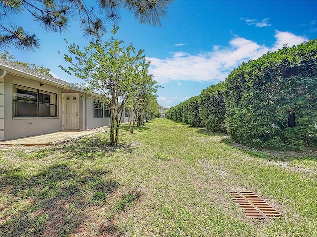 1556 Lynda Ln, Dunedin, FL 34698 - view of green lawn