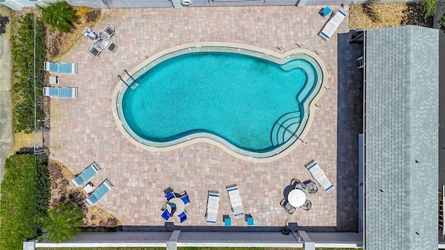1556 Lynda Ln, Dunedin, FL 34698 - view of pool