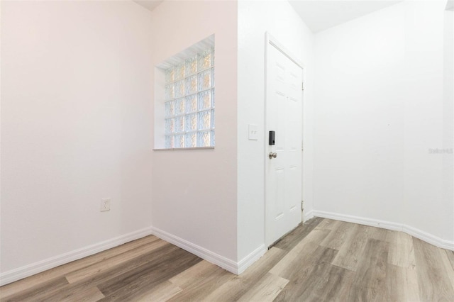 9524 Newdale Way Unit 101, Riverview, FL 33578 - entryway featuring light wood-style flooring and baseboards