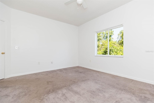 9524 Newdale Way Unit 101, Riverview, FL 33578 - carpeted spare room featuring ceiling fan and baseboards