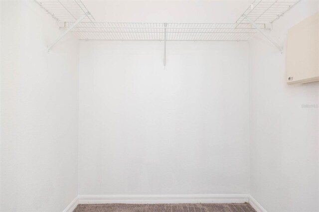 9524 Newdale Way Unit 101, Riverview, FL 33578 - view of spacious closet