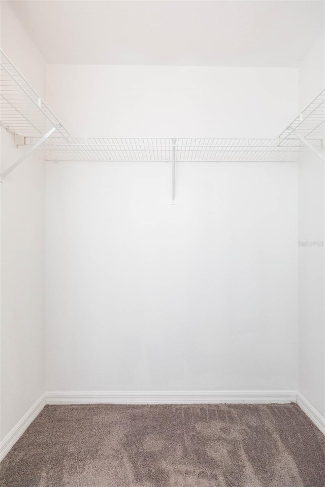 9524 Newdale Way Unit 101, Riverview, FL 33578 - spacious closet featuring carpet flooring