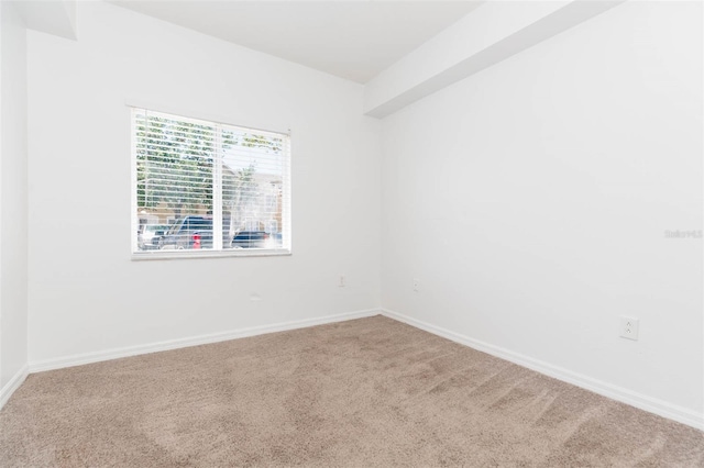 9524 Newdale Way Unit 101, Riverview, FL 33578 - carpeted empty room featuring baseboards