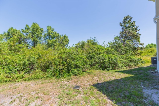 9524 Newdale Way Unit 101, Riverview, FL 33578 - view of yard