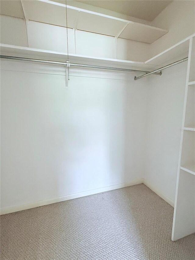 6206 Dewdrop Way Unit 0, Temple Terrace, FL 33617 - photo 10