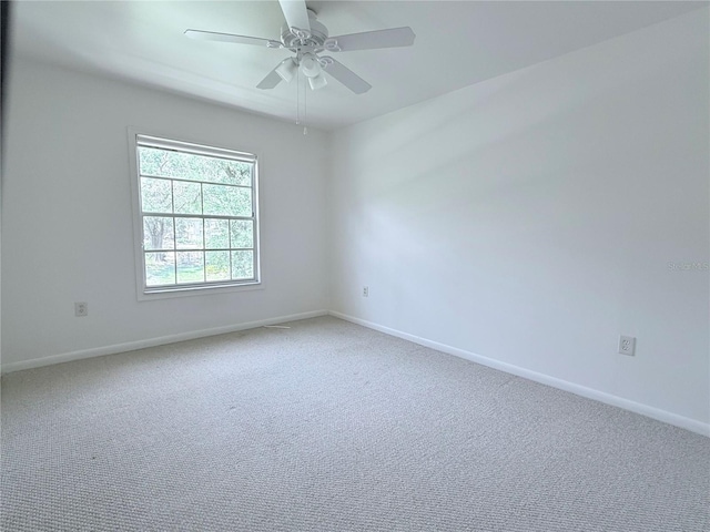 6206 Dewdrop Way Unit 0, Temple Terrace, FL 33617 - photo 12