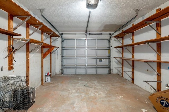 4315 Flexer Dr, Hernando Beach, FL 34607 - garage with a garage door opener