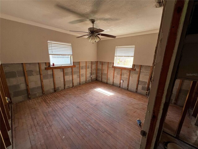 9025 1st St NE, Saint Petersburg, FL 33702 - photo 10
