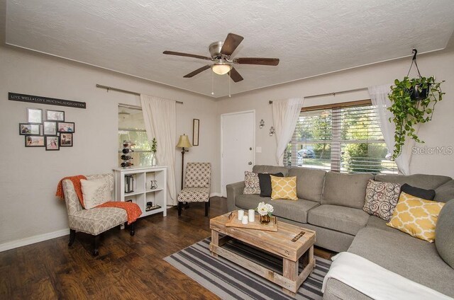 9025 1st St NE, Saint Petersburg, FL 33702 - photo 19