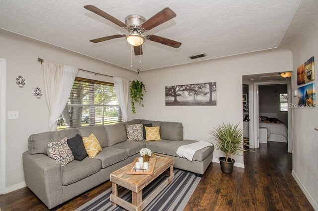 9025 1st St NE, Saint Petersburg, FL 33702 - photo 21